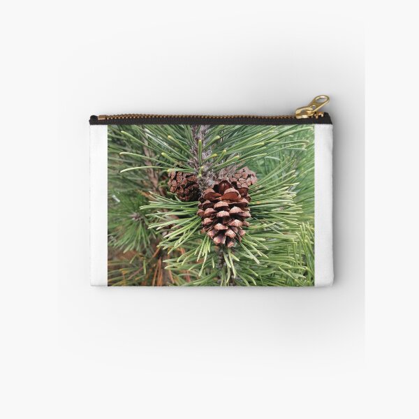 Item preview, Pine Cone Among Evergreen Needles designed and sold by PhuongVoArt.