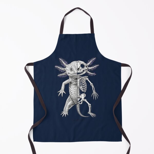 Item preview, Axolotl Half Skeleton Anatomical Study designed and sold by DesignbyKarma.