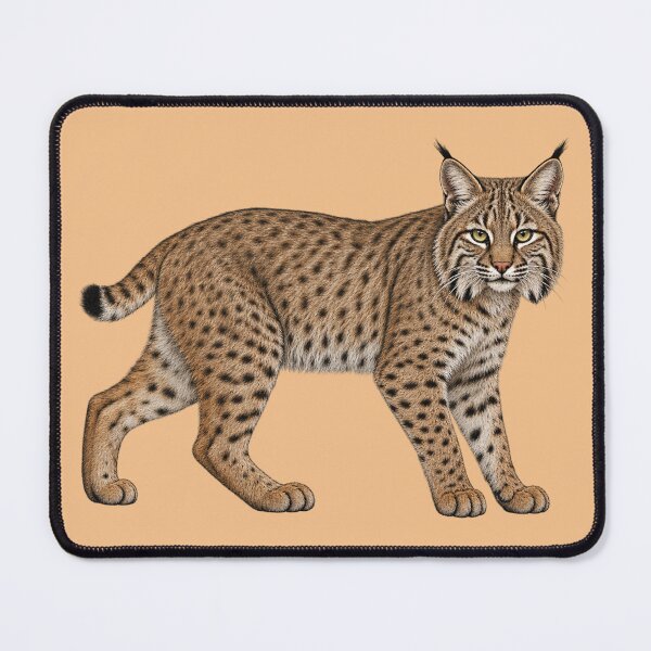 Item preview, Bobcat designed and sold by RAMIRELLI.