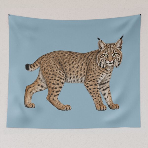 Item preview, Bobcat designed and sold by RAMIRELLI.