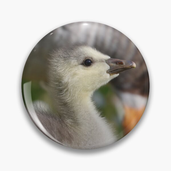 Item preview, Gosling designed and sold by GreyFeatherPhot.
