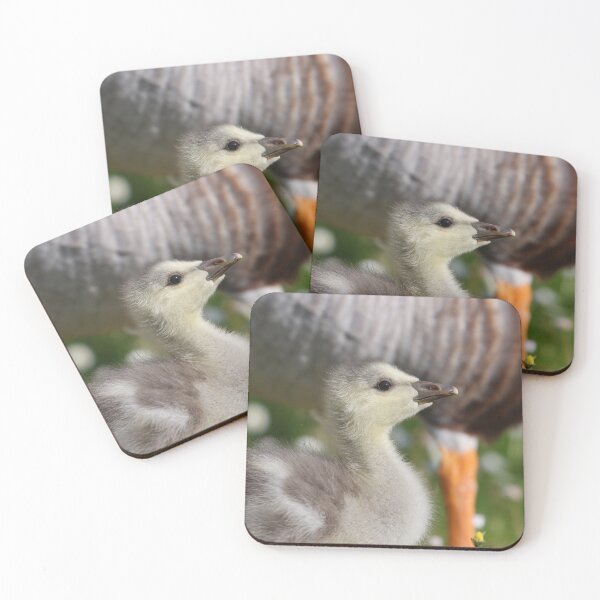 Item preview, Gosling designed and sold by GreyFeatherPhot.