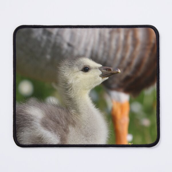 Item preview, Gosling designed and sold by GreyFeatherPhot.