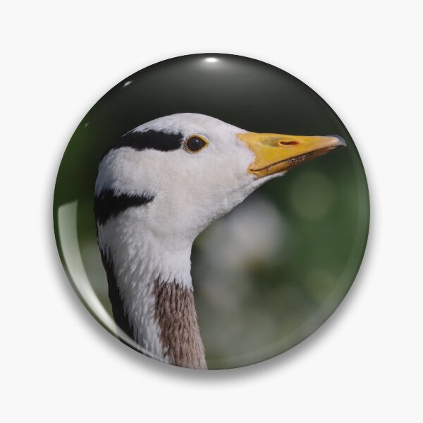 Item preview, Bar headed goose in daisies designed and sold by GreyFeatherPhot.