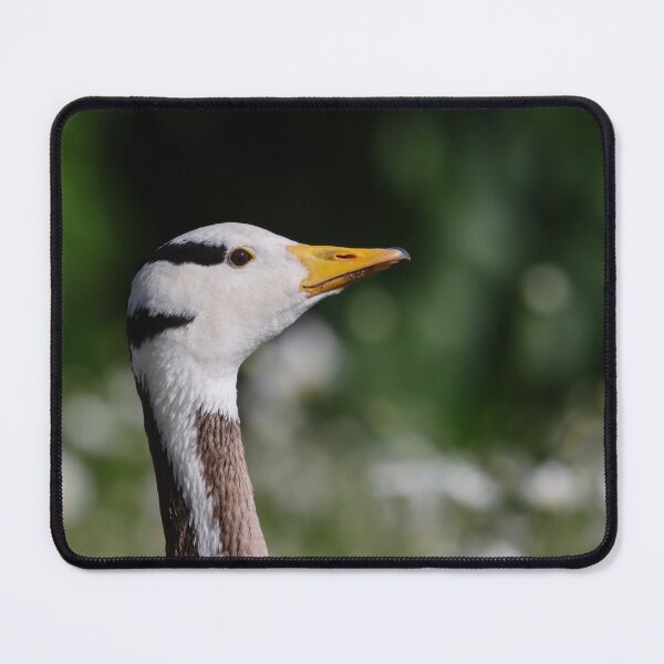 Item preview, Bar headed goose in daisies designed and sold by GreyFeatherPhot.
