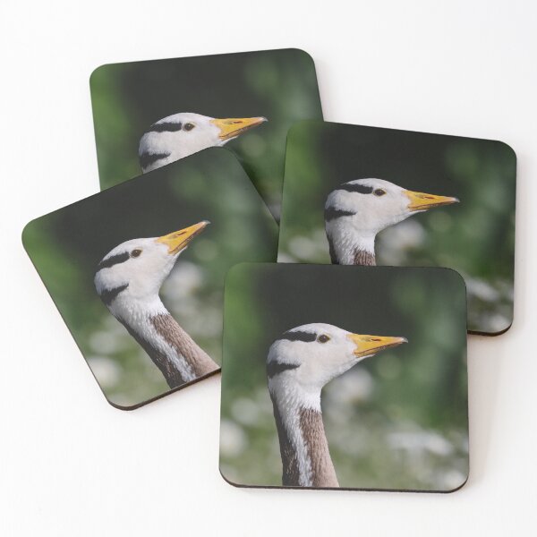 Item preview, Bar headed goose in daisies designed and sold by GreyFeatherPhot.