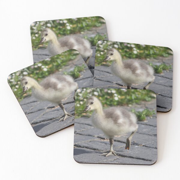 Item preview, One step at a time designed and sold by GreyFeatherPhot.
