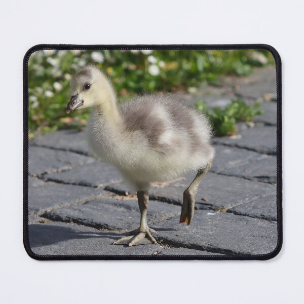 Item preview, One step at a time designed and sold by GreyFeatherPhot.