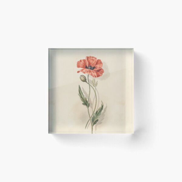Item preview, Vintage Red Poppy Botanical Illustration | Antique Wildflower Print designed and sold by NuvoraNest.