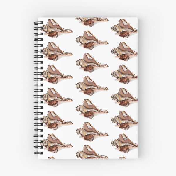 Item preview, Coastal Shell Watercolor and Ink Illustration in Browns designed and sold by Imagine Bee Studio.