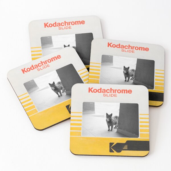 Item preview, Kodachrome Slide cat Analogic  designed and sold by Karla1G.