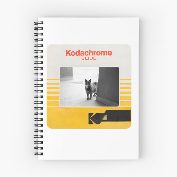 Item preview, Kodachrome Slide cat Analogic  designed and sold by Karla1G.