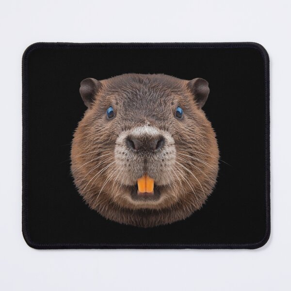 Item preview, Beaver Face Portrait Cute Wildlife Animal Art designed and sold by cabana.space.