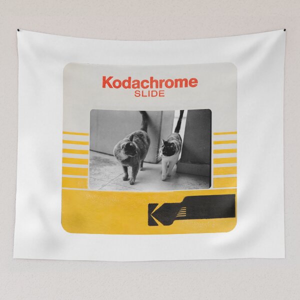 Artikelvorschau, Kodachrome-Dia-Katzen Analogic entworfen und verkauft von Karla1G.