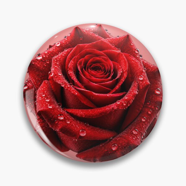 Item preview, Romantic Red Rose with Morning Dew Drops designed and sold by chicworld2026.