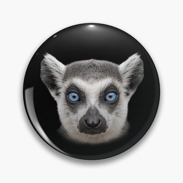 Item preview, Ring Tailed Lemur Face Blue Eyes Wildlife Art designed and sold by cabana.space.