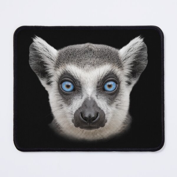 Item preview, Ring Tailed Lemur Face Blue Eyes Wildlife Art designed and sold by cabana.space.