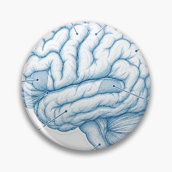 Item preview, Anatomy Brain Lobes Blueprint Physical Therapy Sticker designed and sold by isokinetic.