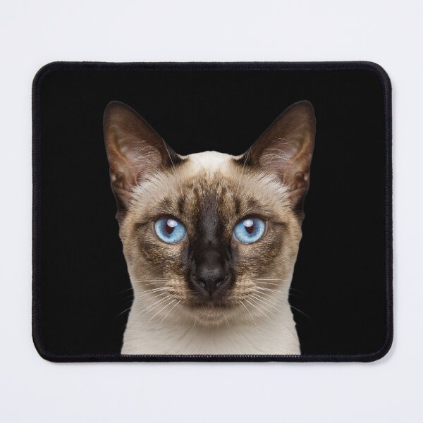 Item preview, Siamese Cat Face Blue Eyes Cat Portrait Art designed and sold by cabana.space.