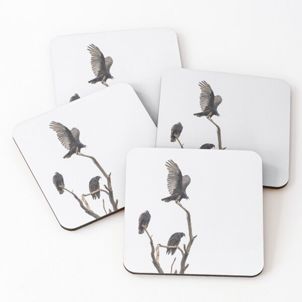 Item preview, Three on a limb. Turkey Vultures. 9-18-2026 designed and sold by Thomasyoung.