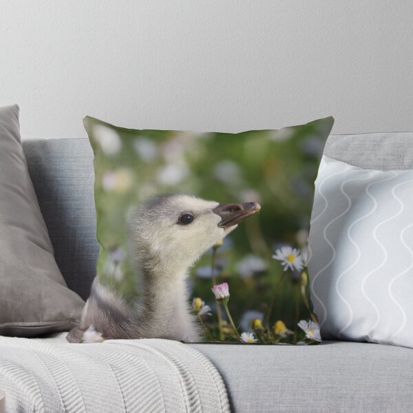 Item preview, Gosling in daisies designed and sold by GreyFeatherPhot.