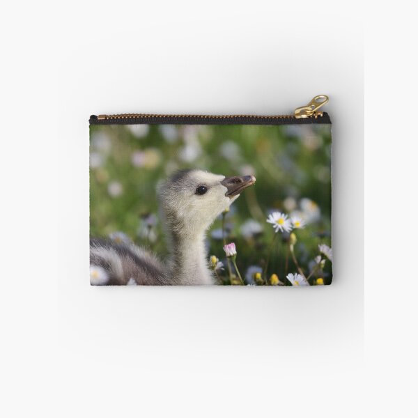 Item preview, Gosling in daisies designed and sold by GreyFeatherPhot.