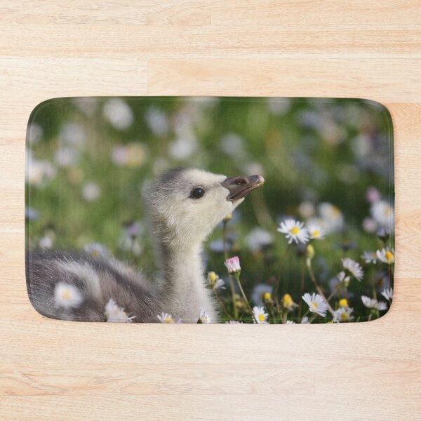 Item preview, Gosling in daisies designed and sold by GreyFeatherPhot.