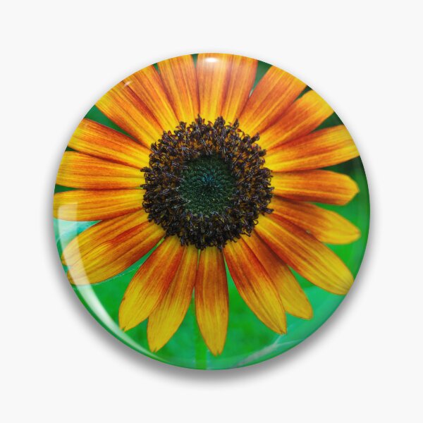Item preview, Sunflower Daze designed and sold by Lunar Bound Imagery .