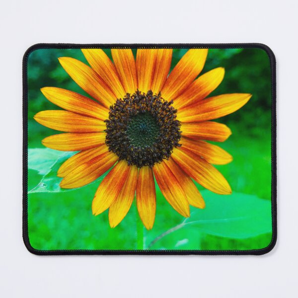 Item preview, Sunflower Daze designed and sold by Lunar Bound Imagery .