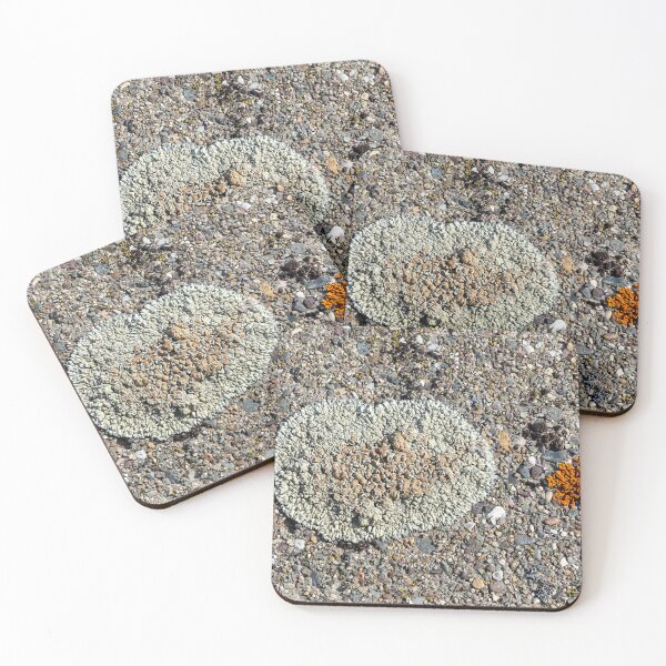 Item preview, Close shot of orange and light green lichen on concrete at Libby Dam designed and sold by lisavonbiela.