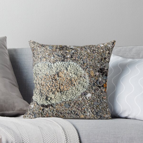 Item preview, Close shot of orange and light green lichen on concrete at Libby Dam designed and sold by lisavonbiela.