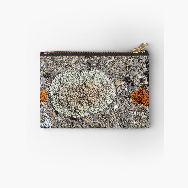 Item preview, Close shot of orange and light green lichen on concrete at Libby Dam designed and sold by lisavonbiela.