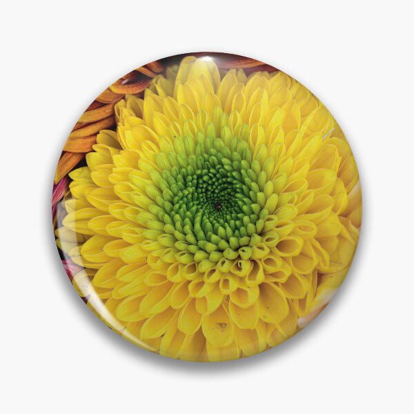 Item preview, Yellow Green Chrysanthemum Set 1 designed and sold by nastiaart.
