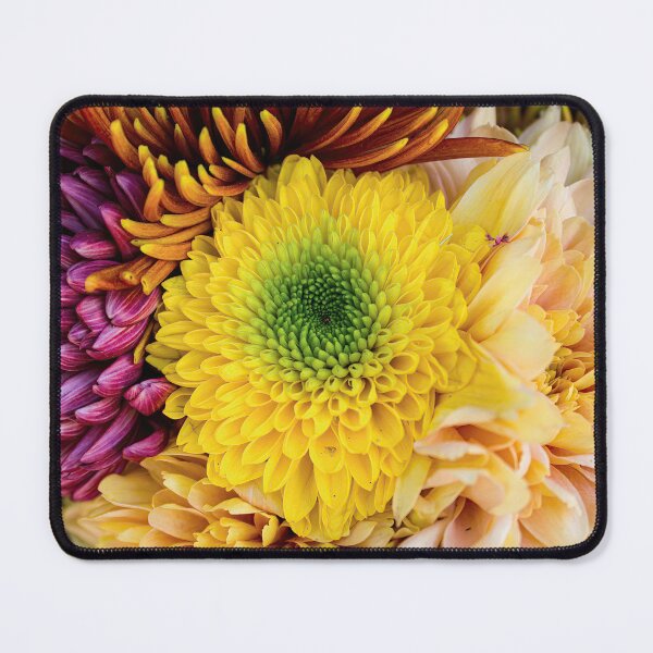 Item preview, Yellow Green Chrysanthemum Set 1 designed and sold by nastiaart.
