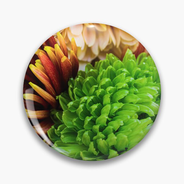Item preview, Green Chrysanthemum 2 designed and sold by nastiaart.