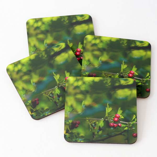 Item preview, Fruits in the middle of the forest designed and sold by UnluckyAngler.