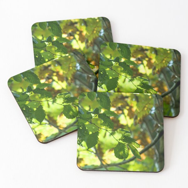 Item preview, Forest  designed and sold by UnluckyAngler.