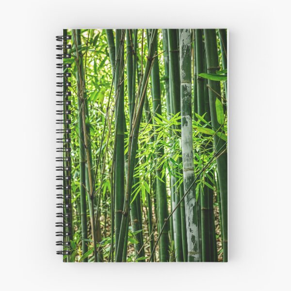 Item preview, Bamboo shoots designed and sold by beny .
