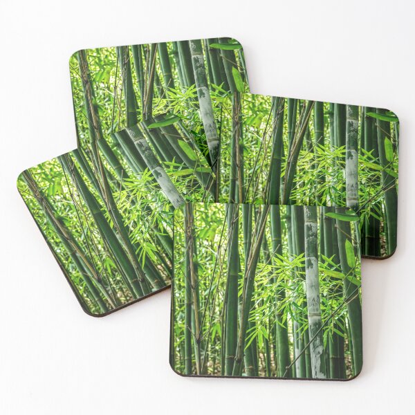 Item preview, Bamboo shoots designed and sold by beny .