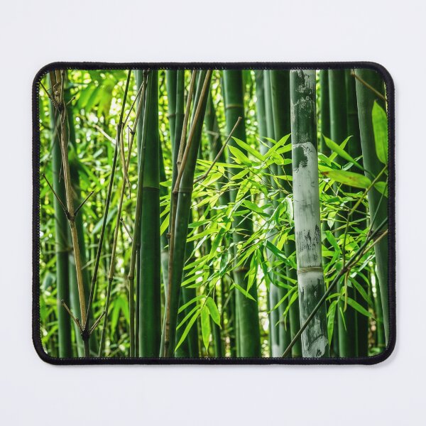 Item preview, Bamboo shoots designed and sold by beny .