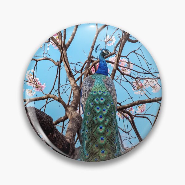 Item preview, Peacock in nature designed and sold by beny .