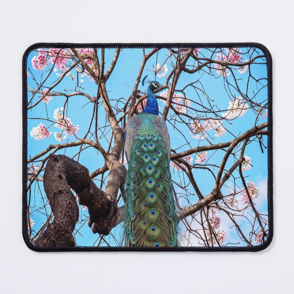 Item preview, Peacock in nature designed and sold by beny .