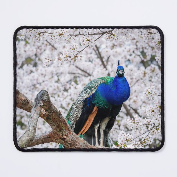 Item preview, cherry blossom peacock designed and sold by beny .