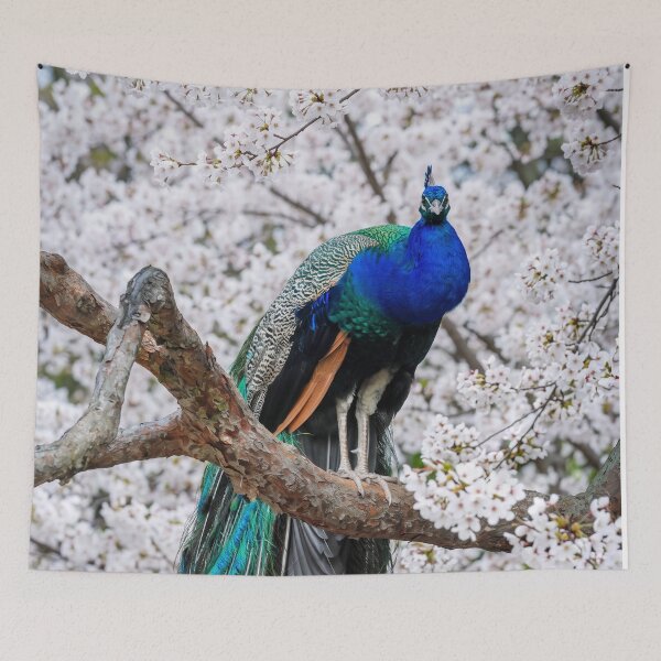Item preview, cherry blossom peacock designed and sold by beny .