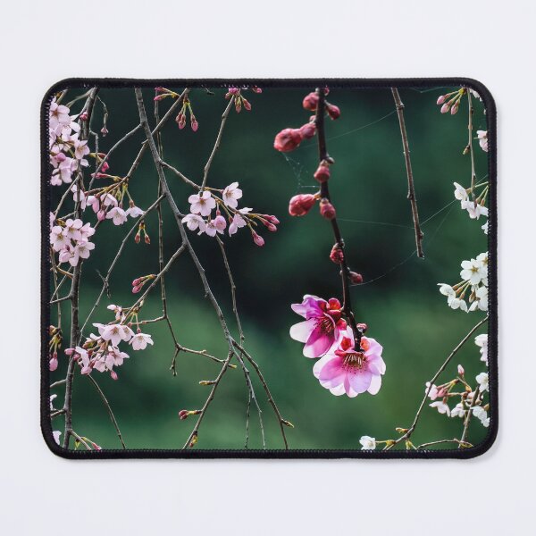 Item preview, Flowers187 designed and sold by beny .