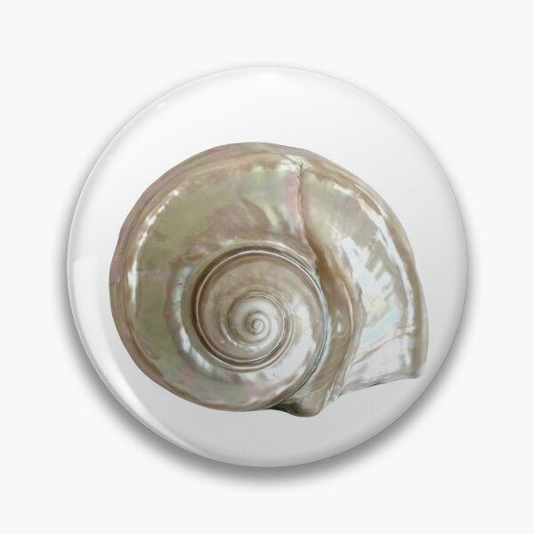 Item preview,  Whimsy vintage swirl abalone shell designed and sold by ellmoswrld.