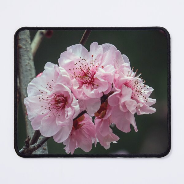 Item preview, Flowers190 designed and sold by beny .