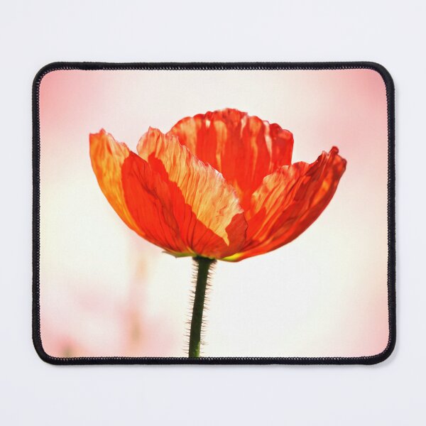 Item preview, Flowers_195 designed and sold by beny .