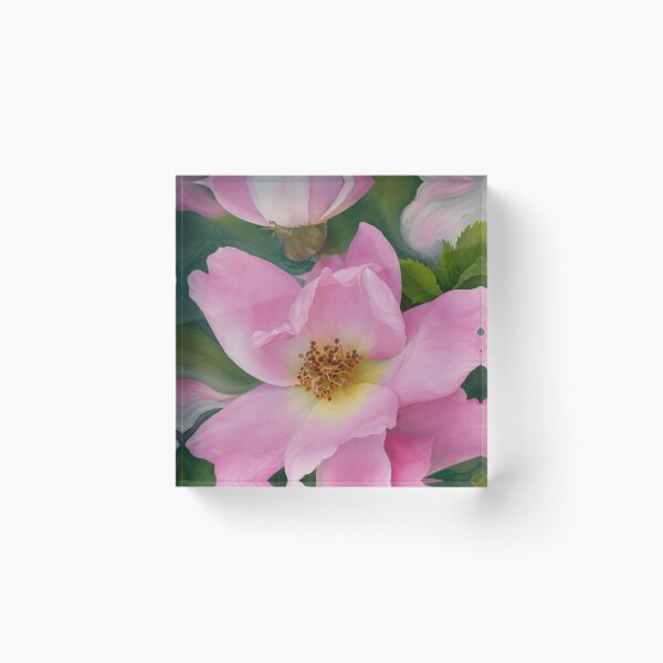 Item preview, Pink Rose in Bloom designed and sold by Sarah Curtiss.