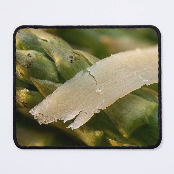 Item preview, That Little Curl Makes the Plate designed and sold by ASSEMBLE WONDER.
